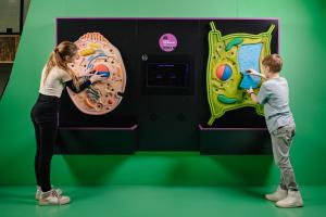 VIDA expozice rostlinna živočisná buňka